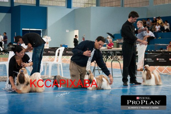 Clique sobre a foto para fechar